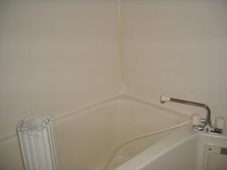 アップルヴィレッジU棟の浴室