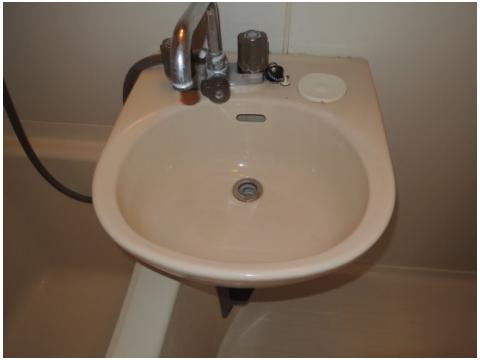 ハイツエレガンスの洗面所