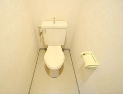 【トイレ】 | ピジョン田園 | 落ち着いたトイレです