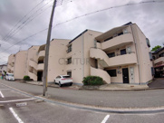 サンシャルマンユキの画像