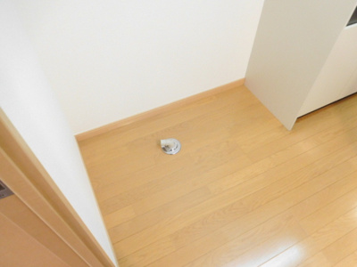 【その他】 | グリーン・フォレスト