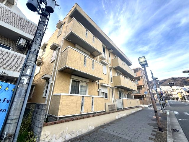 モアレ森南