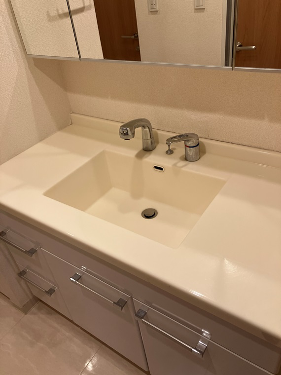 レグノ・フォルテ二番町の洗面所