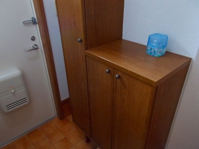 【玄関】 | グレイスフルフィールドⅡ | 明るい玄関です