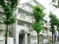 葛飾区金町３丁目のマンションの画像