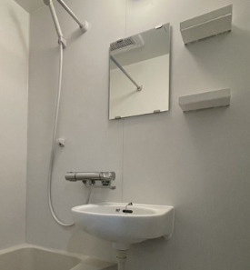 フローラメゾン北大塚の洗面所