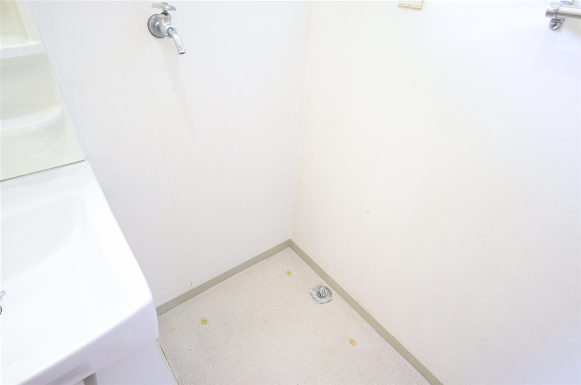 リバーシティ杉森Dの洗面所