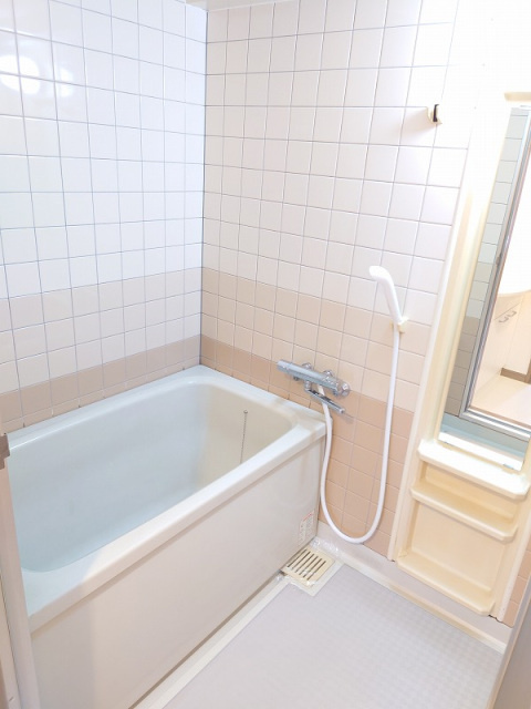 SS八木ハイツの浴室