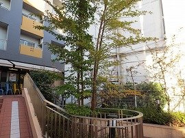 レオパレスＯＩビル　Ｕｎｉｏｎのその他