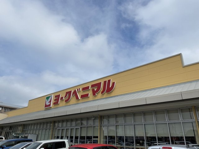 レオパレスアイビスの周辺