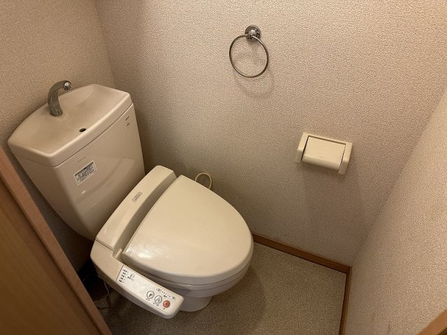 レオネクストグレースＫａｎｋｅのその他