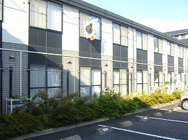 レオパレス中戸祭のその他