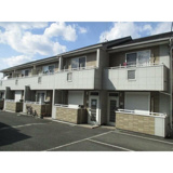 グランドール柿の木(グランドールカキノキ)の画像