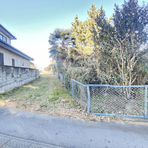 藤岡市立石722の庭