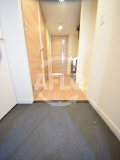 【玄関】 | ララプレイス難波メティス | ララプレイス難波メティス　玄関