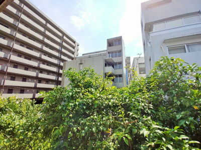 【展望】 | パールハイム