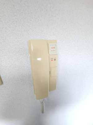 【セキュリティ】 | パウローニア