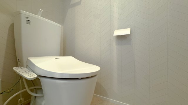 グランドゥール壱町田のトイレ