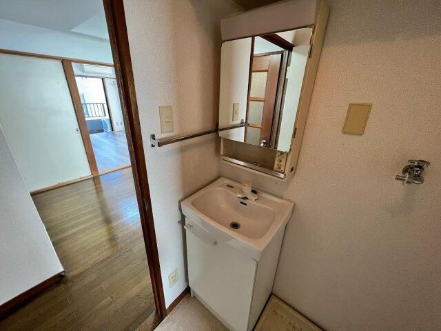 クレイドル新和の洗面所