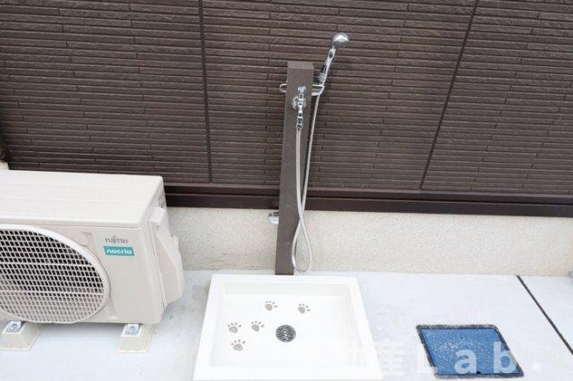 D-room monicaのその他共用部分