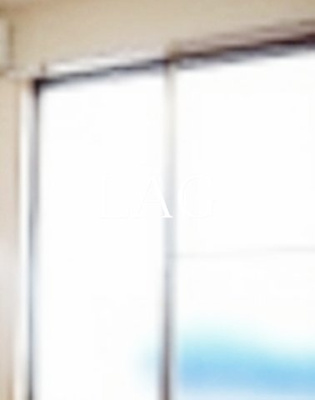 【バルコニー】 | リブリ・スカイⅢ | バルコニーです。