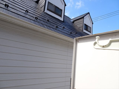 【展望】 | マイシルク