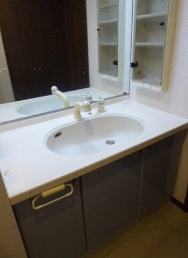 ライオンズプラザ亀有の洗面所