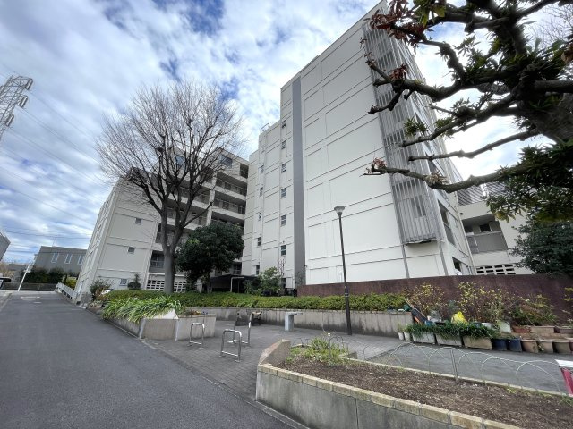 レトロな建物と正反対の室内は、まるでパラダイス♪ナチュラルテイストな仕様の『妙蓮寺コーポラス』リノベーション