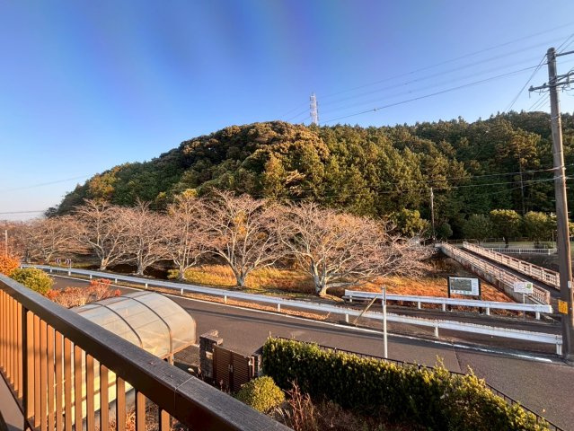 中古 戸建てのその他