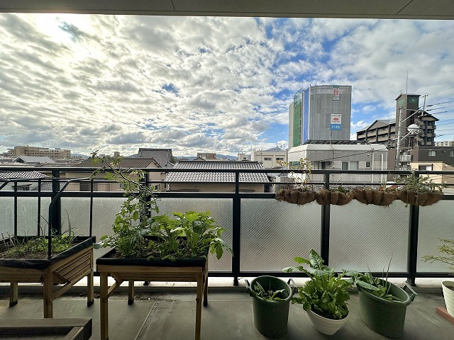 【展望】 | リヴィエール九工大駅リゾシア（C-15）