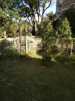 【その他】 | コスモフォーラム1号棟 | テラス