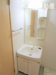 グランディス柏の洗面所|明るい洗面所です