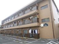 ハーモナイズ・ヴェルデの画像