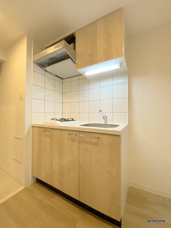 エスリード難波ザ・プレミア 仲介手数料無料のキッチン