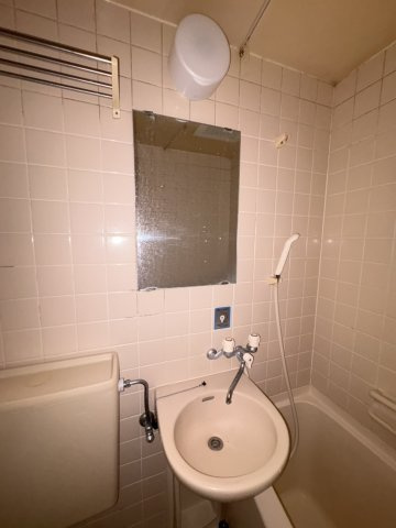 メゾン市川の洗面所