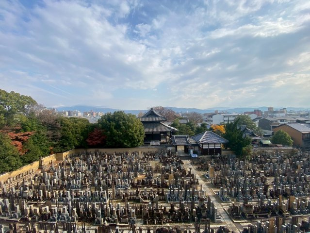 京都上京ハウスの展望|バルコニーからの眺望。東側の眺望は良好です。明るい陽の光が入ってきます。