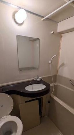 ユタカローズガーデン（Ａ－０１２）の洗面所