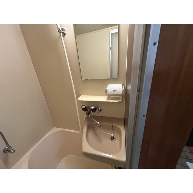 テラス大成の洗面所