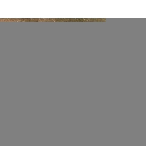 コーポサイトウのその他