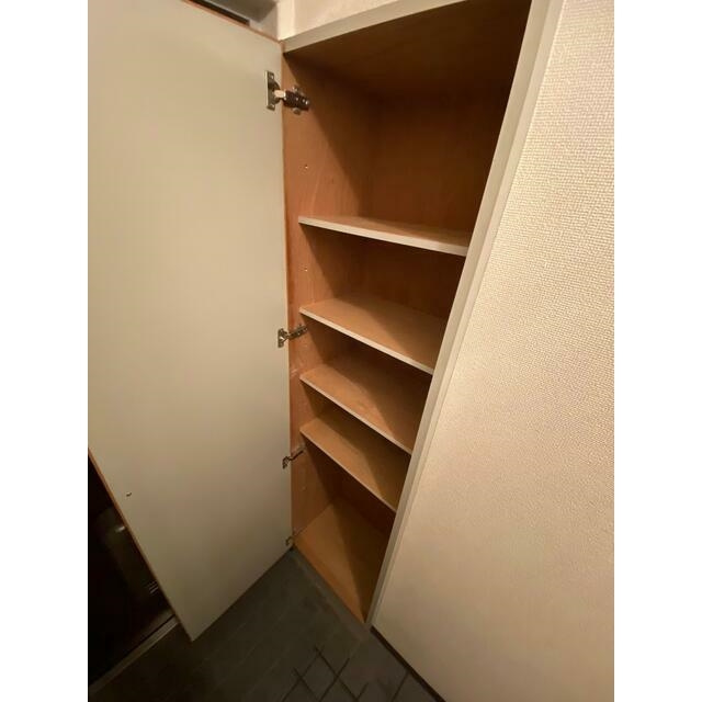 飯能市稲荷町の賃貸マンションの収納