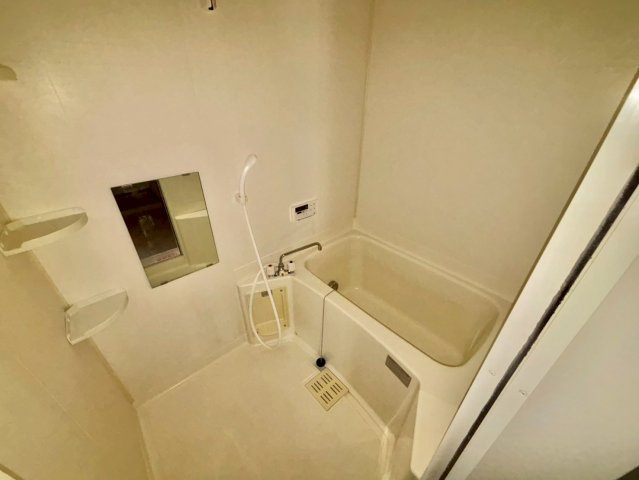 グレイスフルフィールドⅡの浴室