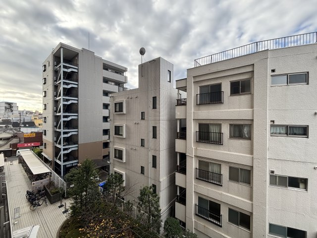 ビューネタワー平井の展望