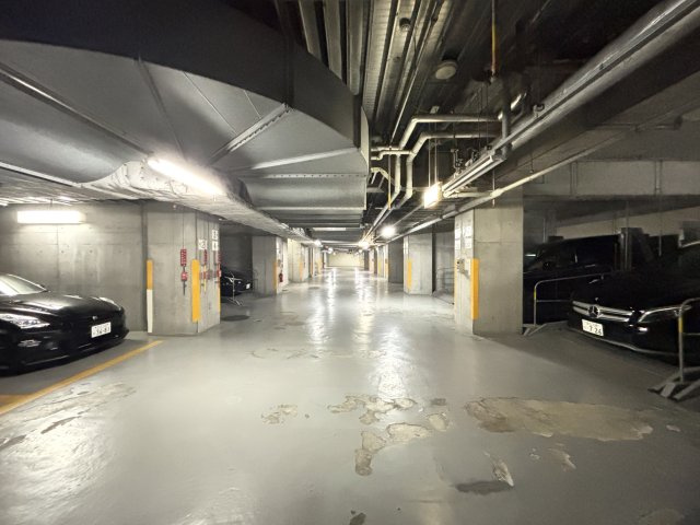 ビューネタワー平井の駐車場