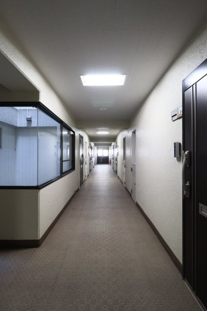 ペアパレス上池台№２のその他共用部分