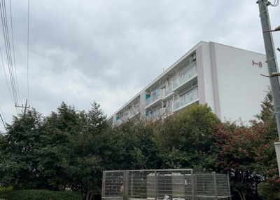 【居間・リビング】 | 町田木曽住宅ト－８号棟 | 直線タイプはLとDKを一直線に並べた形で対面キッチンのタイプです。一般的なのでよく見かけるかもしれません。直線タイプに似た直接アイランドタイプは、キッチンとダイニングの間に壁がない分広く感じられます。