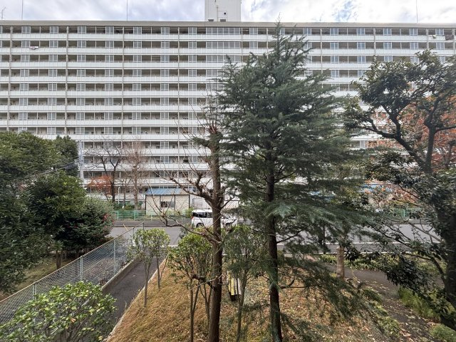 ジュネシオン平井の展望