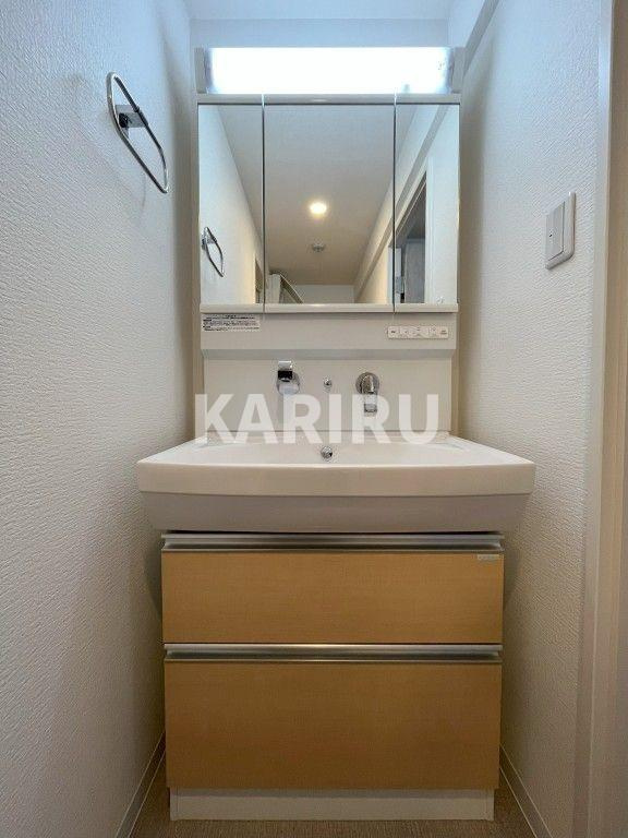 ラヴィベール上町台の洗面所