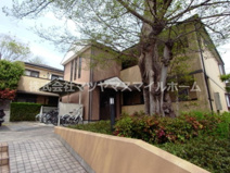 ドゥシャルマンはいづかの画像