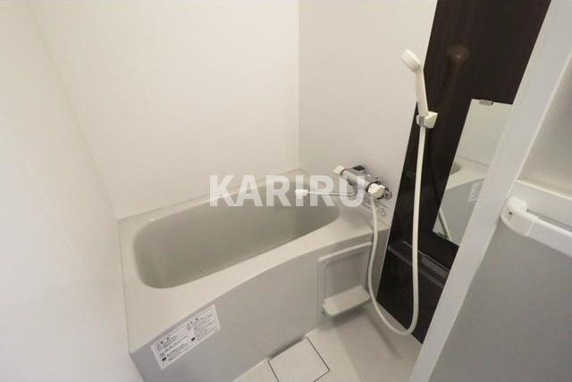 ALLUREPREMIERの浴室