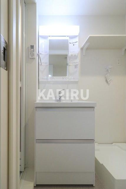 ALLUREPREMIERの洗面所